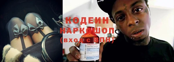 шишки Слюдянка