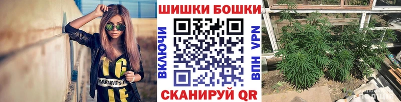 Канабис планчик где купить Первомайск